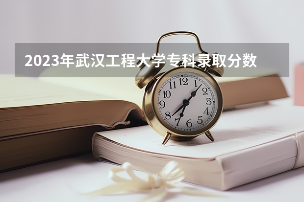 2023年武汉工程大学专科录取分数线是多少？
