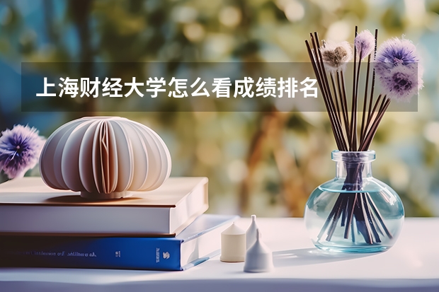 上海财经大学怎么看成绩排名