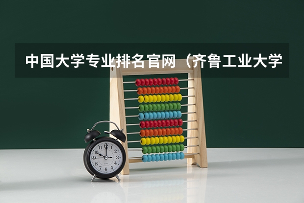 中国大学专业排名官网（齐鲁工业大学计算机专业排名）
