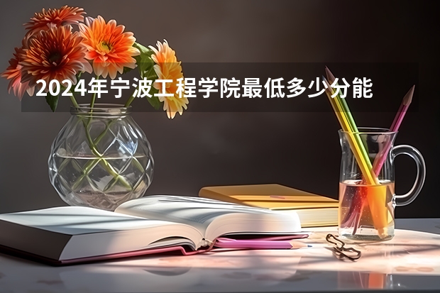 2024年宁波工程学院最低多少分能录取 浙江历年录取分数线