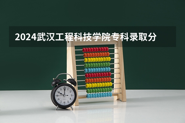 2024武汉工程科技学院专科录取分数线是多少？