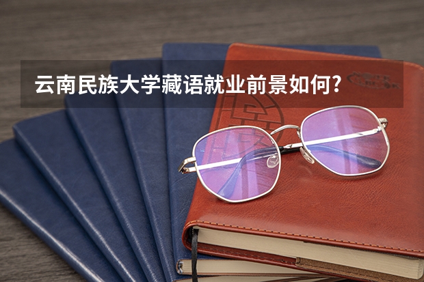 云南民族大学藏语就业前景如何?